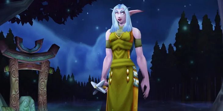 «После конструктивных переговоров с юридическим лицом Blizzard Entertainment» — авторы фанатского сервера объяснили закрытие