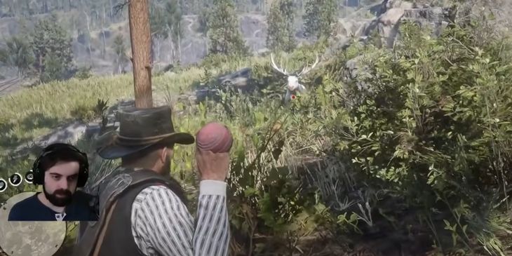 Red Dead Redemption 2 скрестили с Pokemon — можно ловить животных и устраивать бои с другими тренерами