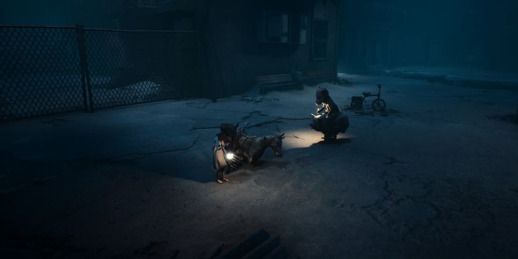 Как поиграть в REANIMAL вдвоем по сети и на одном экране