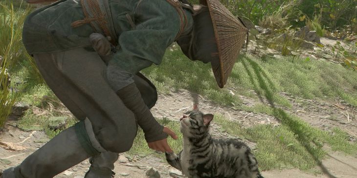 Assassin’s Creed Shadows получит масштабное обновление перед релизом DLC Claws of Awaji