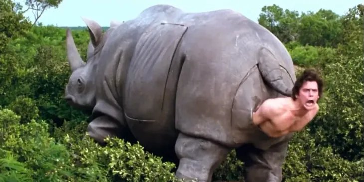 Носорог, из которого вылез Джим Керри в «Эйсе Вентуре», продан