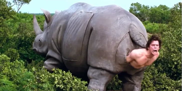 Носорог, из которого вылез Джим Керри в «Эйсе Вентуре», продан