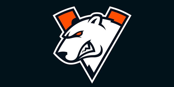 Virtus.pro запустила кампанию по сбору средств в защиту белых медведей