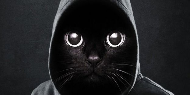 Стали известны самые упоминаемые мемы в России в 2025 году