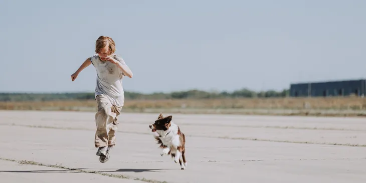 Мы тоже этого не ожидали, но «Космическая собака Лида» — отличное кино