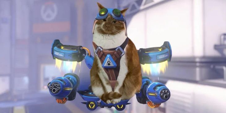 Игроки в Overwatch запустили флешмоб с котиками — они косплеят нового героя