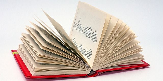 В академический орфографический словарь включили «капчу», «эмодзи» и «промпт-инженера»