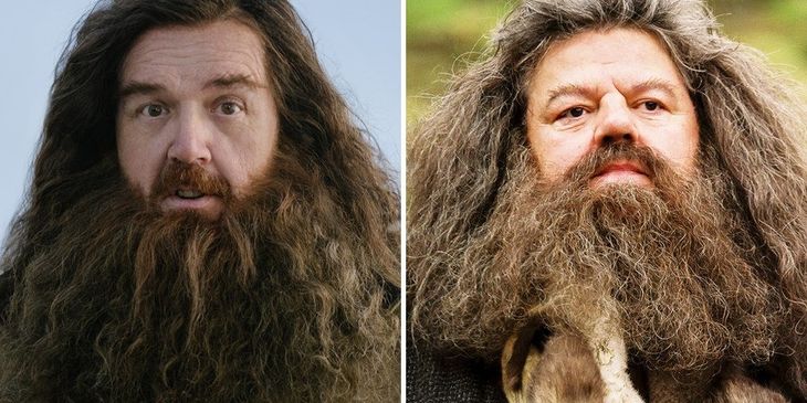 Ник Фрост 7 тыс. раз написал имя «Хагрид», прося вселенную о роли в ремейке «Гарри Поттера»