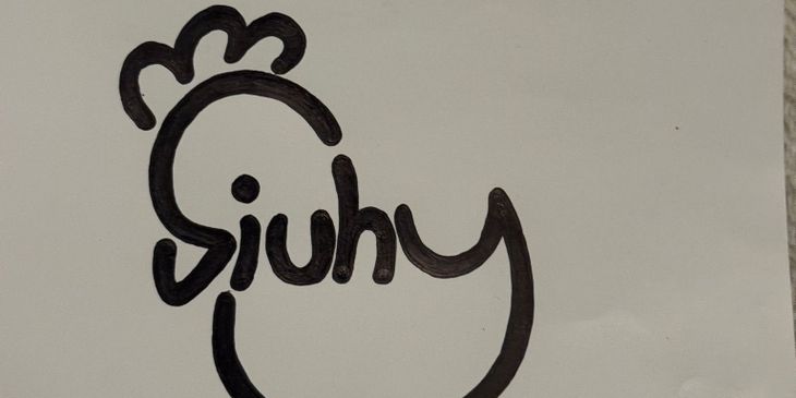 Siuhy показал не допущенные варианты личного стикера в CS2