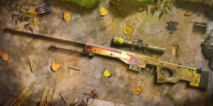Из самого дорогого инвентаря в CS:GO украли скины на сумму более $2 млн