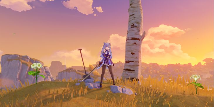 «Это мои сокровища» в Genshin Impact: как найти клад на склоне Зимородка