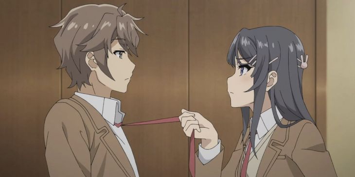 Гайд по франшизе «Этот глупый свин не понимает мечту…» — порядок просмотра аниме