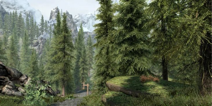 Тодд Говард рассказал про деревья в TES VI и запустил новую волну фанатских теорий