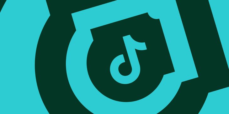TikTok оштрафовали в России на ₽6 млн