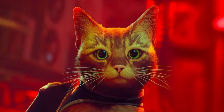 Инсайдер: инди-хит про кота вернётся в PS Plus в ноябре