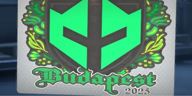 Фанаты Imperial Esports вышли на сцену StarLadder Budapest Major 2025 с плакатом «Fuck Valve», требуя вернуть обновлённый логотип команды на стикерах