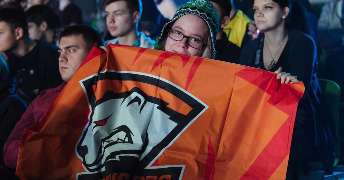 зрители на киберспортивном стадионе с флагами