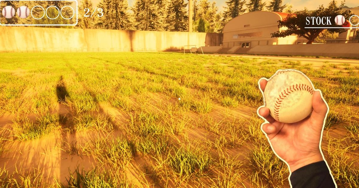 Японский разработчик добавил чешскую локализацию в Ball Boy Simulator для фаната из Чехии