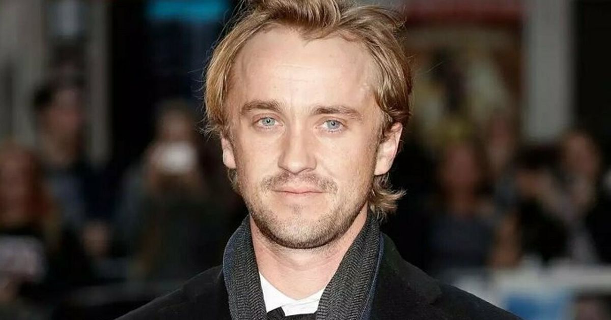 tom.felton net worth - Ilustrasi 3