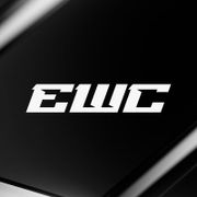 Организаторы Esports World Cup 2026