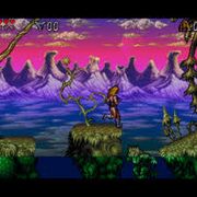 Хэнк Ньеборг