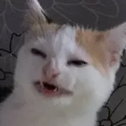 galaktiQa