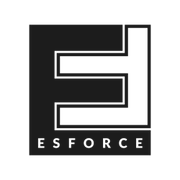 ESforce Holding