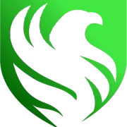Team Falcons 