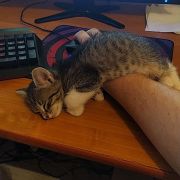 Civilization VI