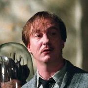 Дэвид Тьюлис