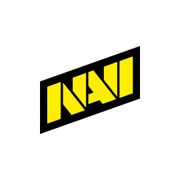 Представители NAVI