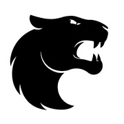 FURIA Esports