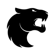 FURIA Esports