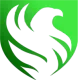 Falcons