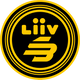 Liiv SANDBOX