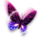 Imago[HYBRD]
