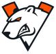 VP MENA