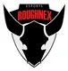RoughNeX