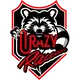 CrazyRaccoon