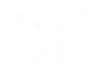 Xenon Ray