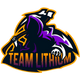 Team Lithium