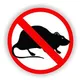 No Rats