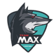 MAX.Y