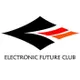 eFuture B.