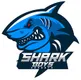 Shark Boys
